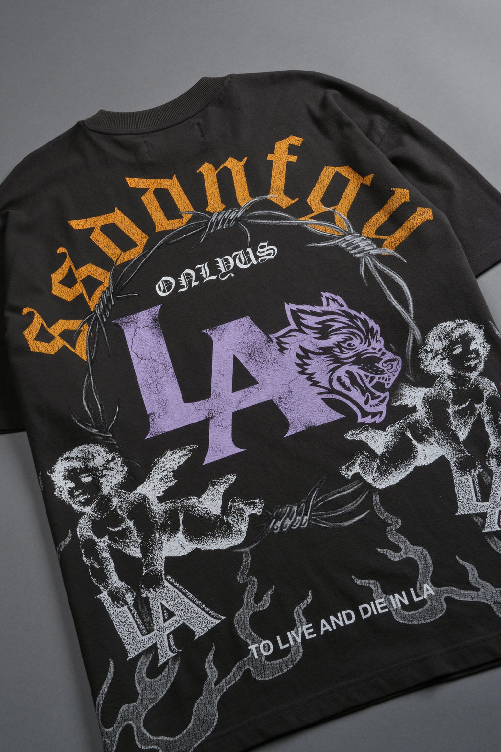 La Heritage Premium Oversized Tee in Wolf Gray — imagem 18