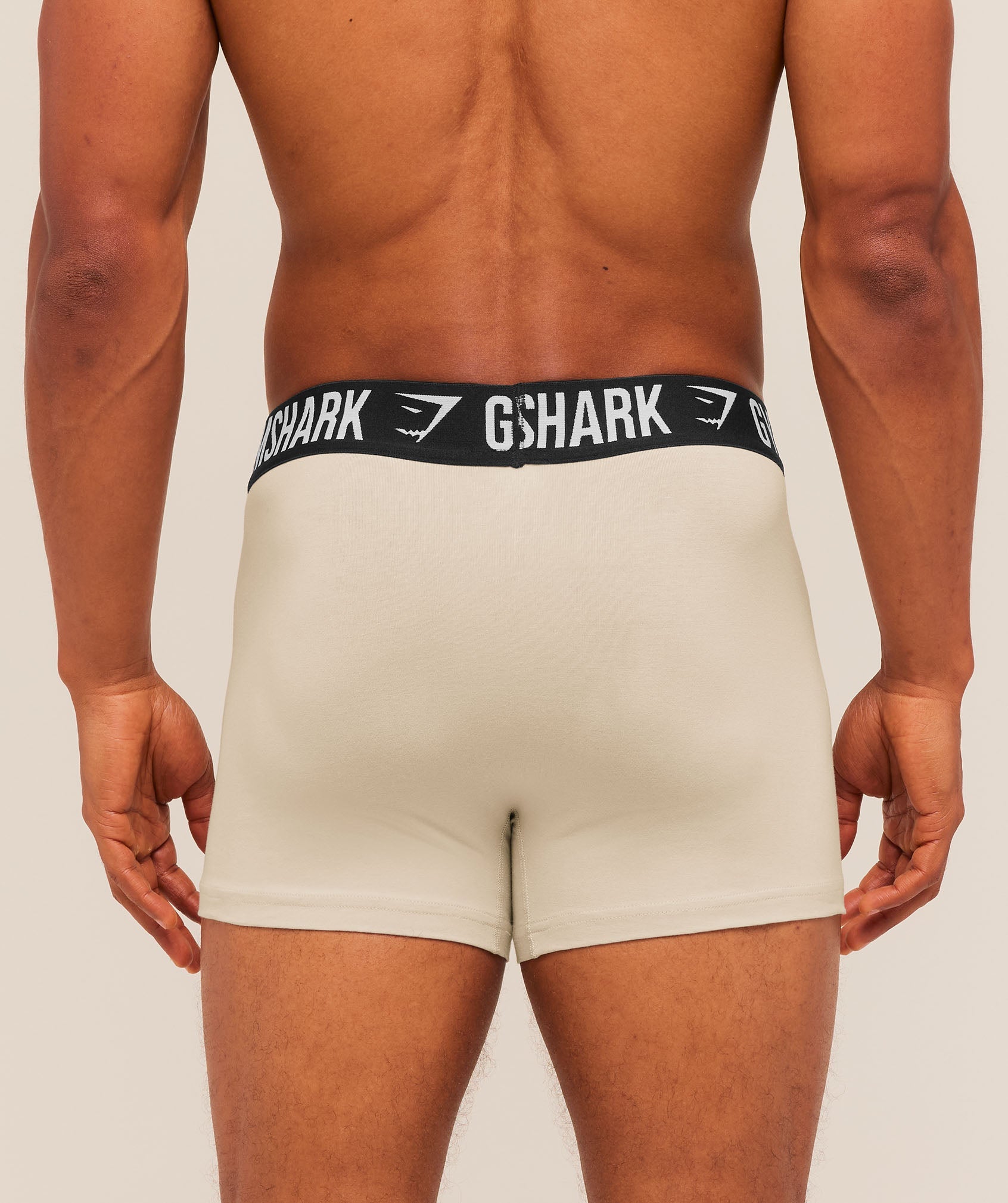 Boxer Brief 5PK - Chalk Beige/Canvas Green/Espresso Brown/Cherry Purple/Lifestyle Brown — imagem 2