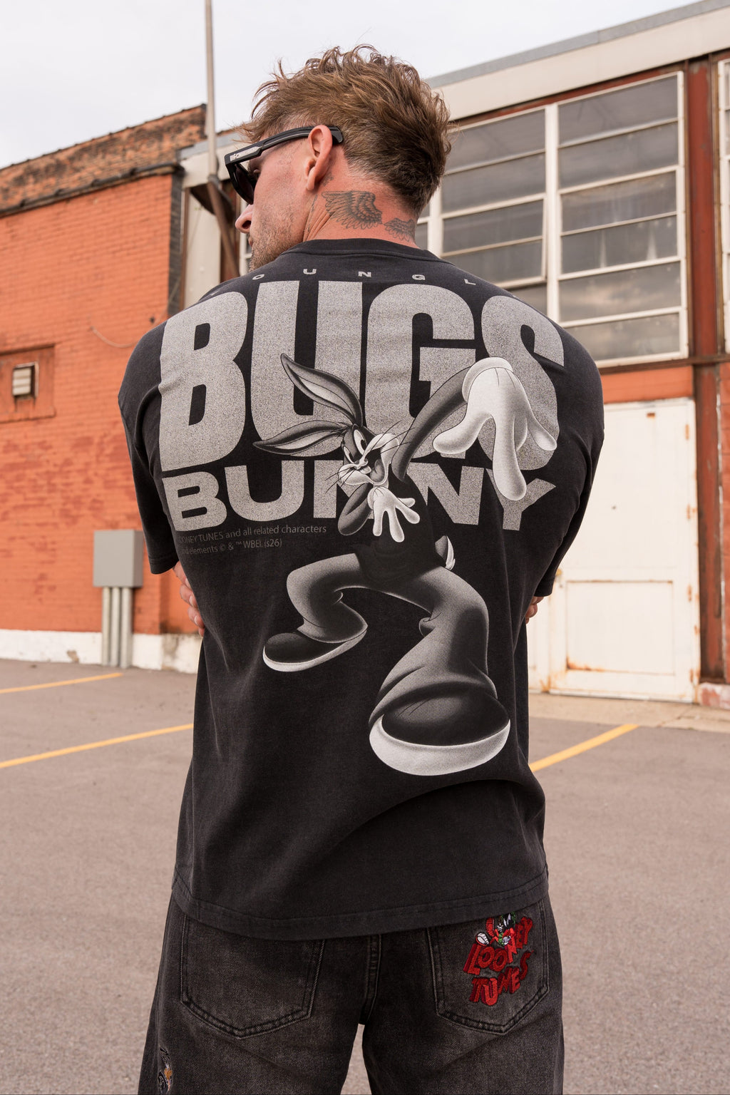 4291 - Looney Tunes Vintage Tees — imagem 6
