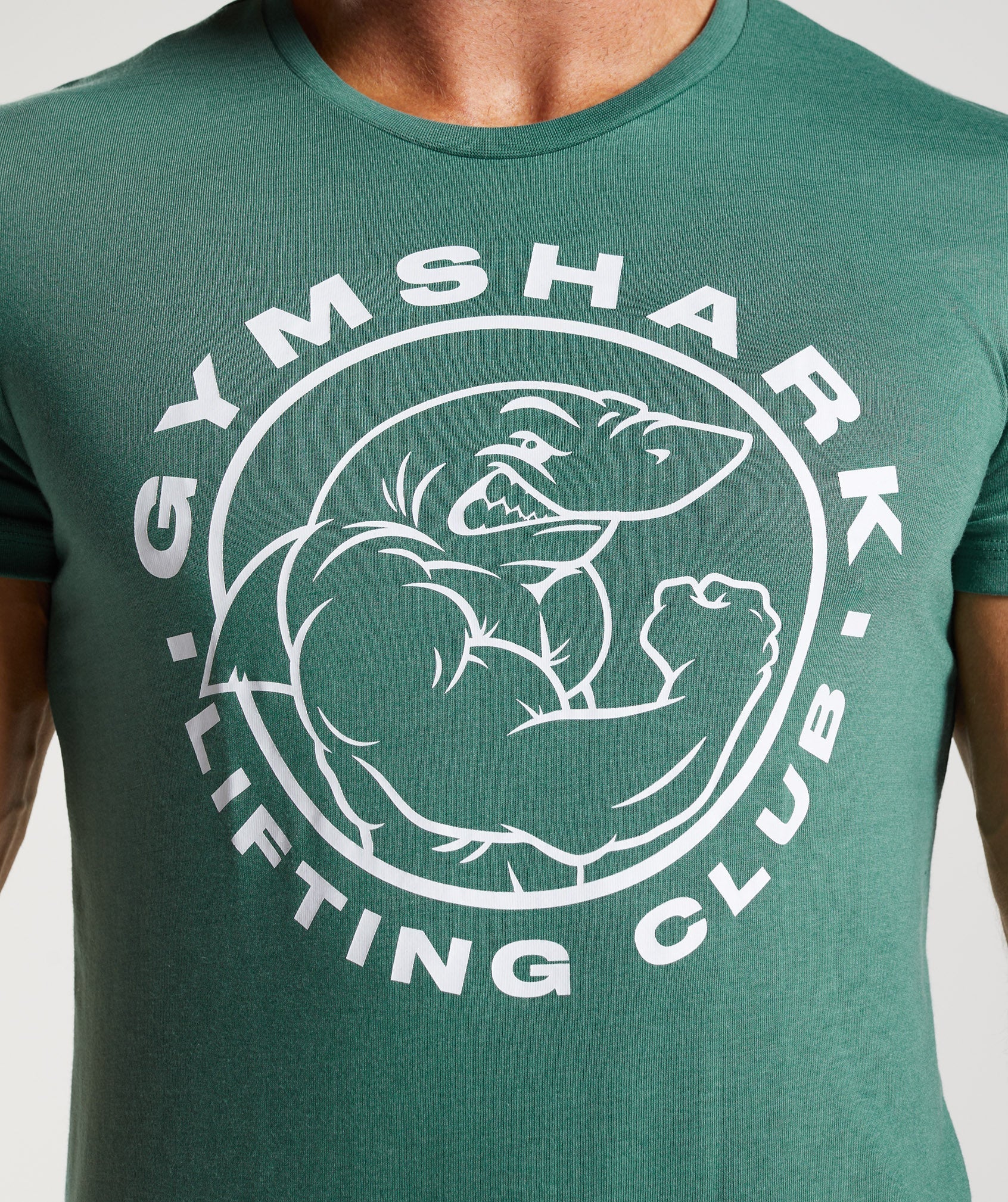 Legacy T-Shirt - Hoya Green — imagem 5