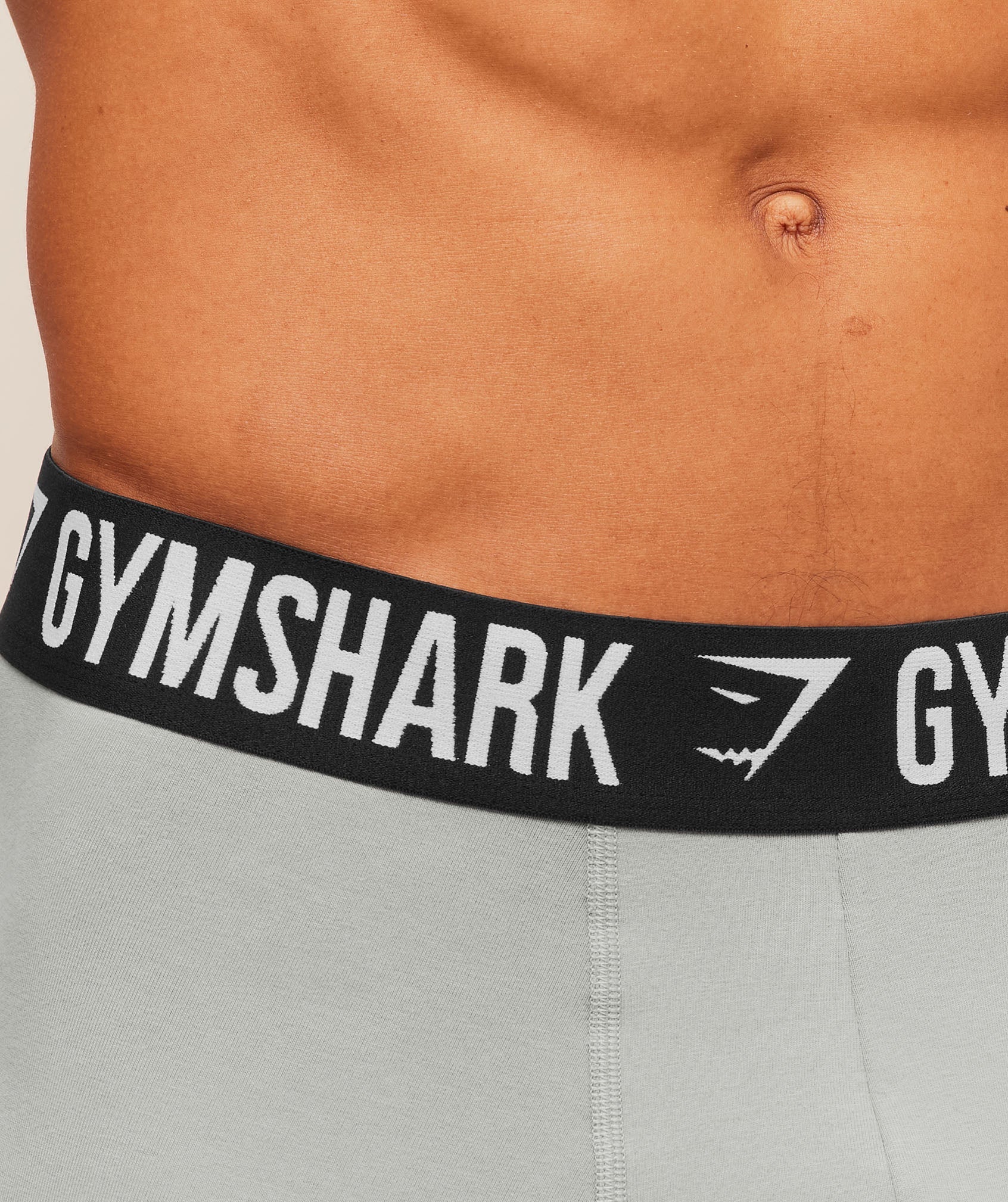 Long Boxer Brief 3PK - Smokey Grey — imagem 3