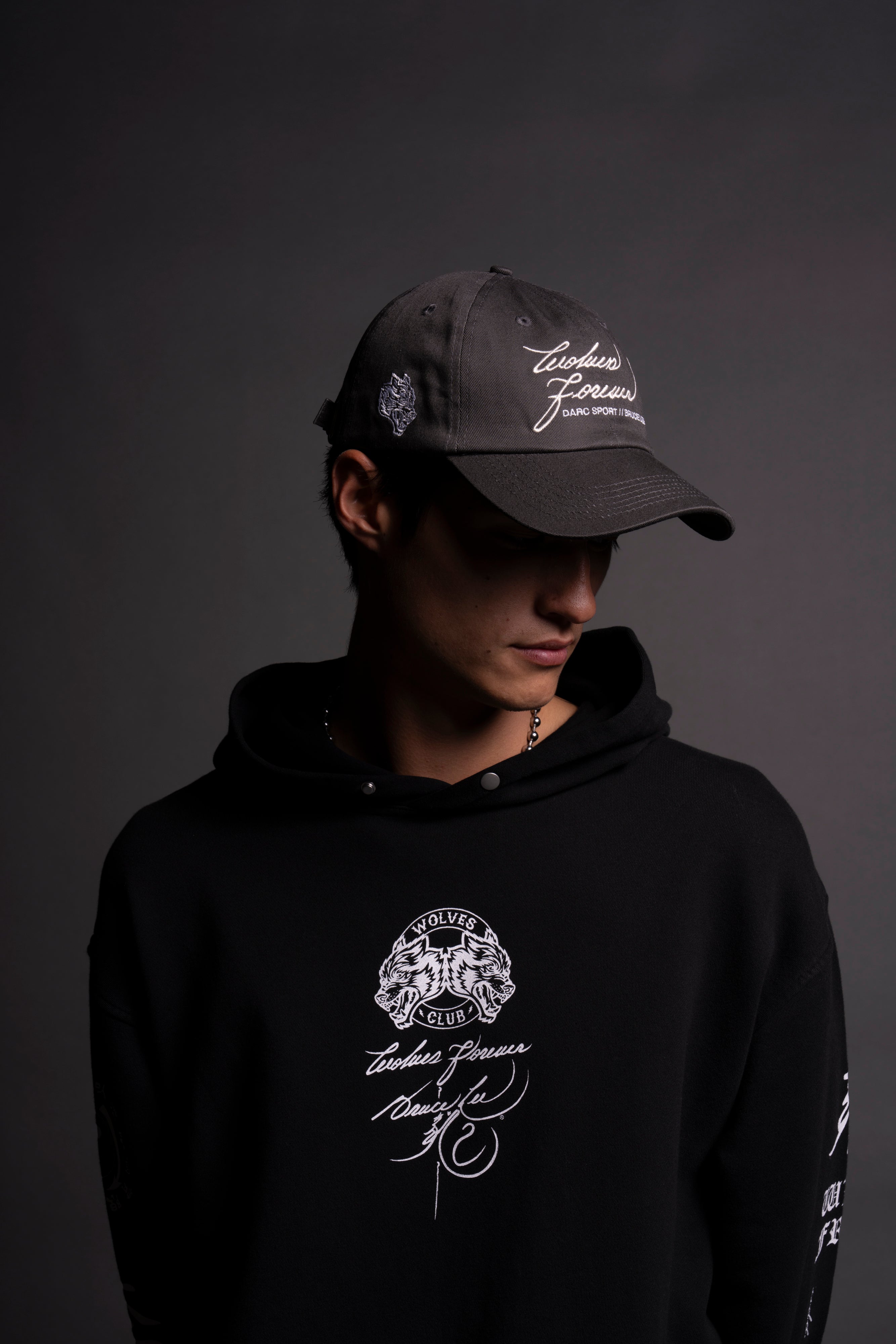 Search Within Dad Hat V2 in Wolf Gray — imagem 4