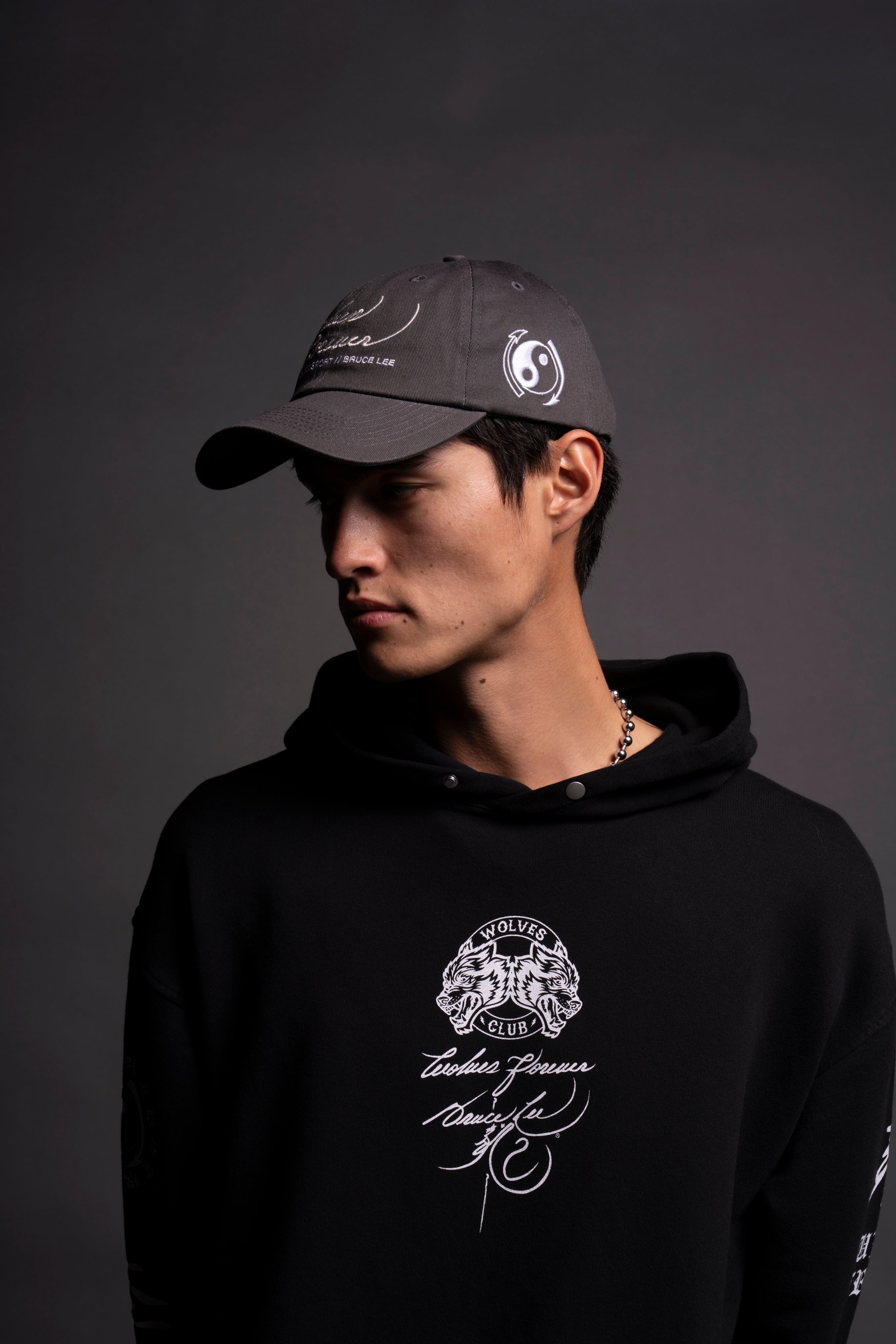 Search Within Dad Hat V2 in Wolf Gray — imagem 8