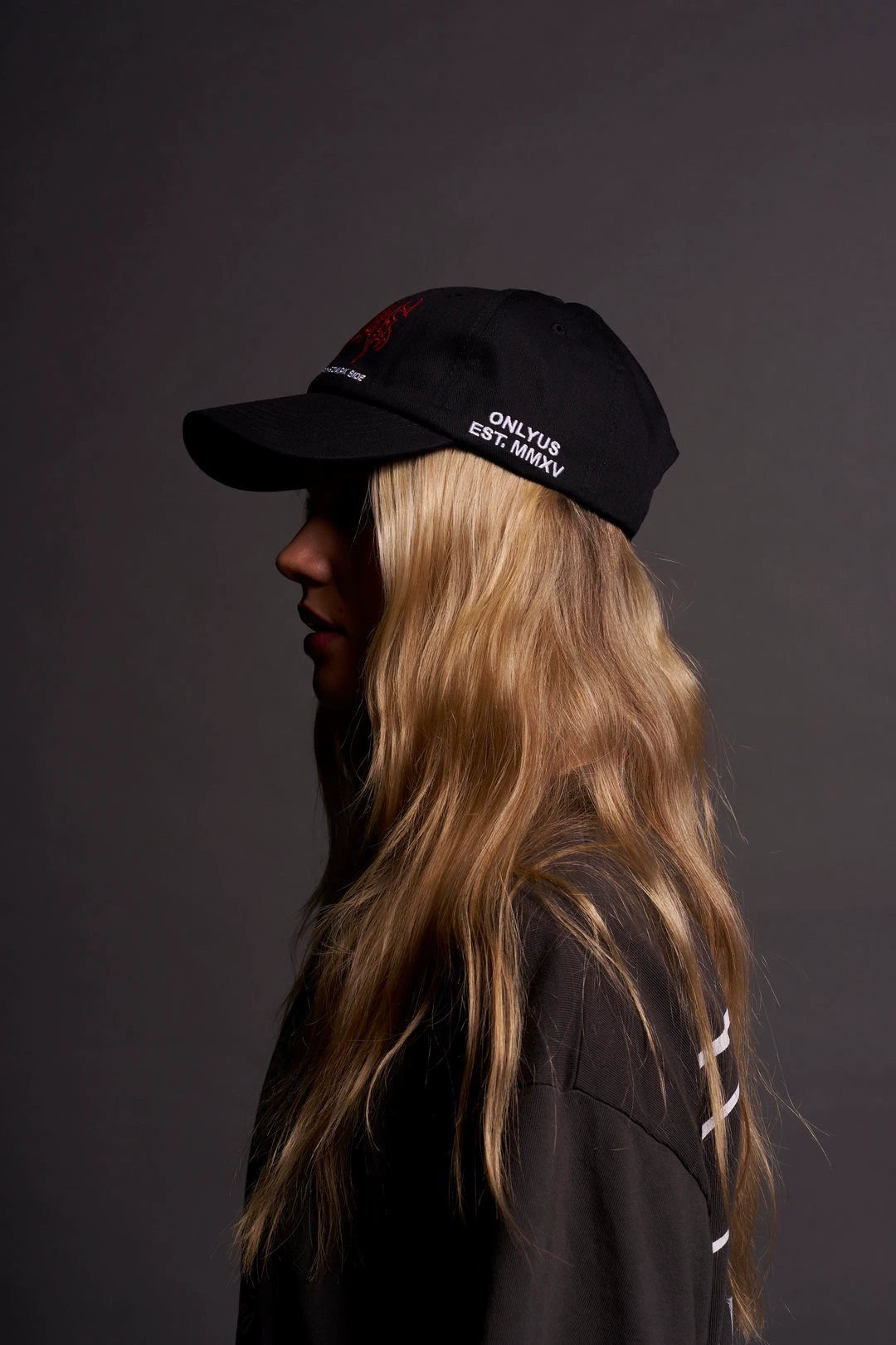 Darc Sport Dark Side Dad Hat In Grey — imagem 17