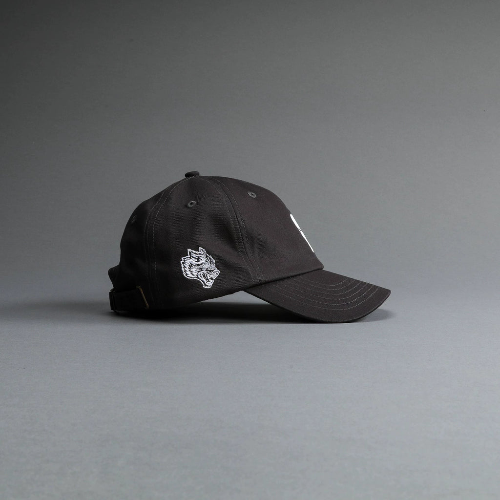 Darc Sport Dad Hat — Punisher — imagem 3