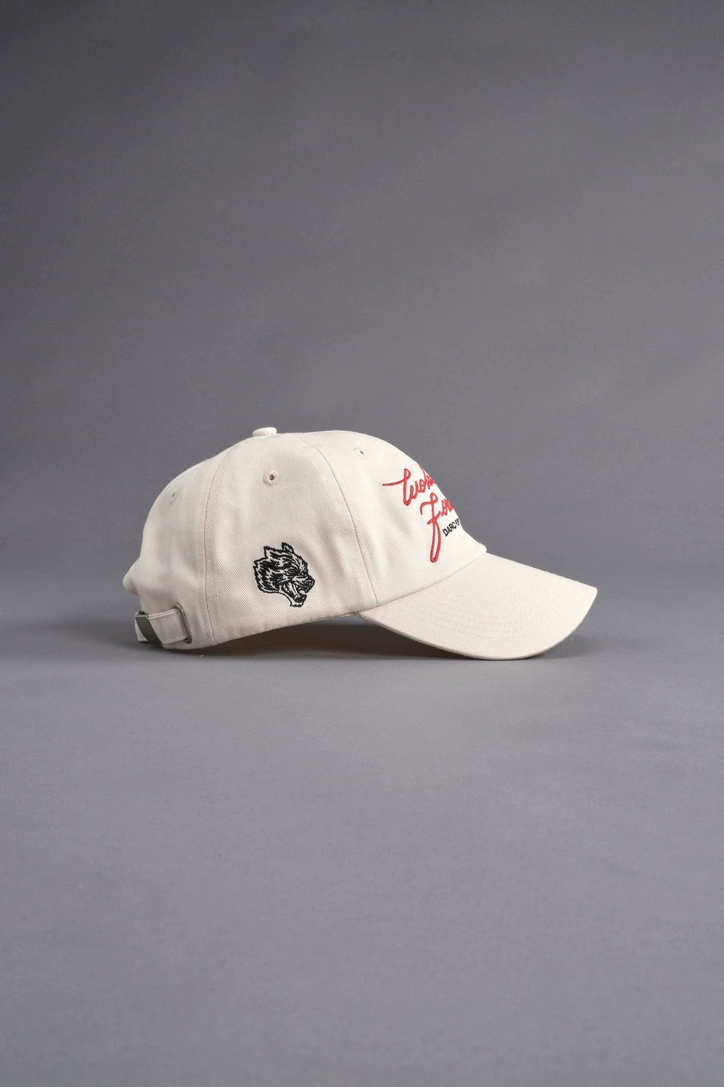 Darc Sport In The Wind Dad Hat In Black — imagem 5