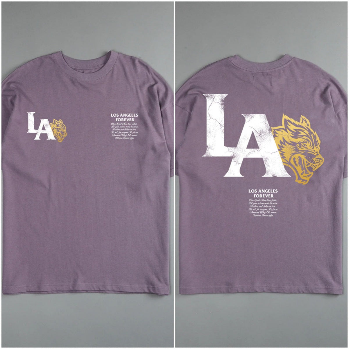 Camiseta Oversized Darc Sport American Wolf LA
