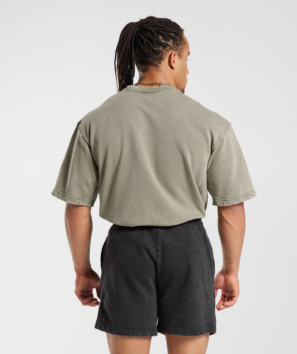 Power Washed Short Sleeve Crew - Ecru Brown — imagem 2