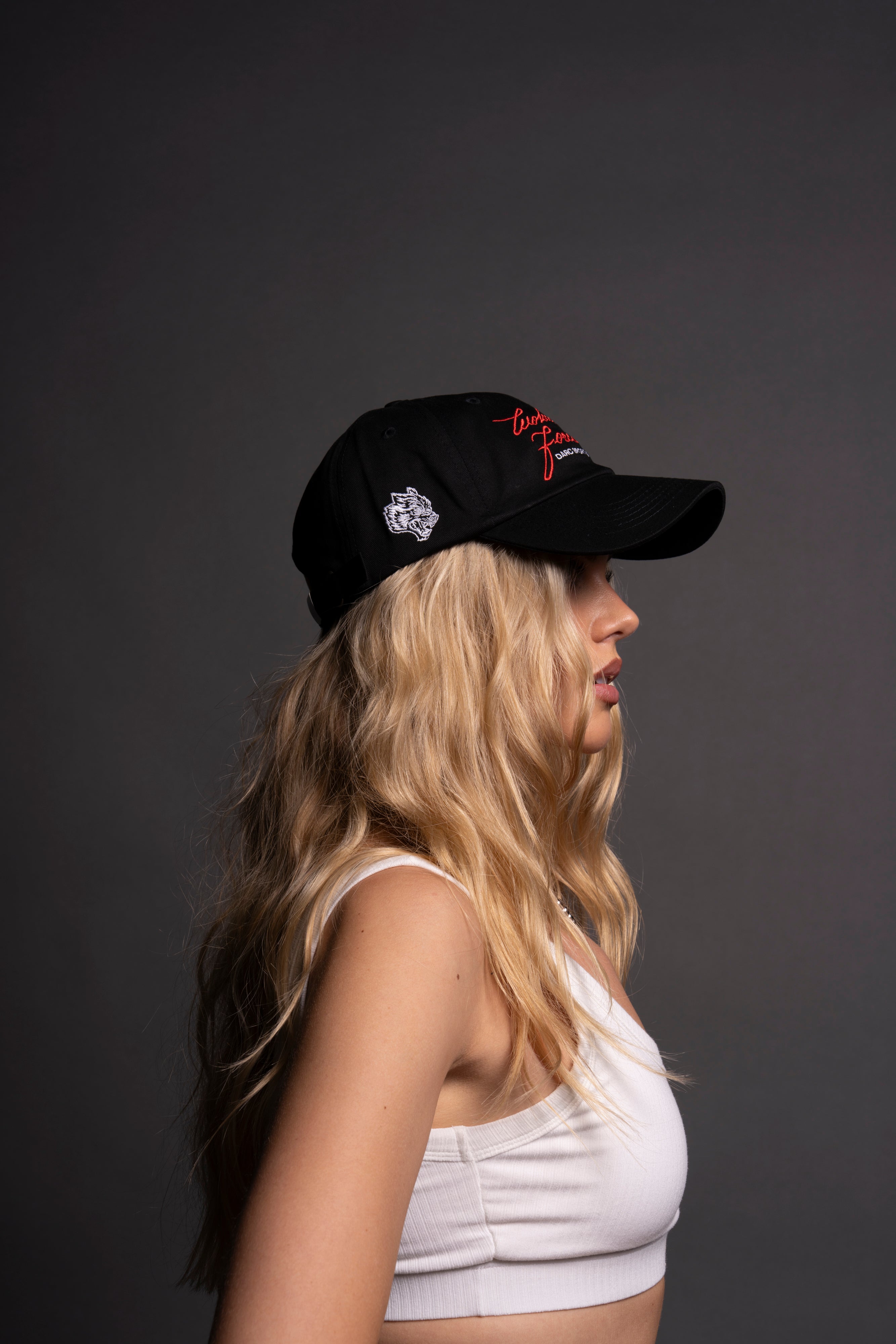 Search Within Dad Hat V2 in Black — imagem 9