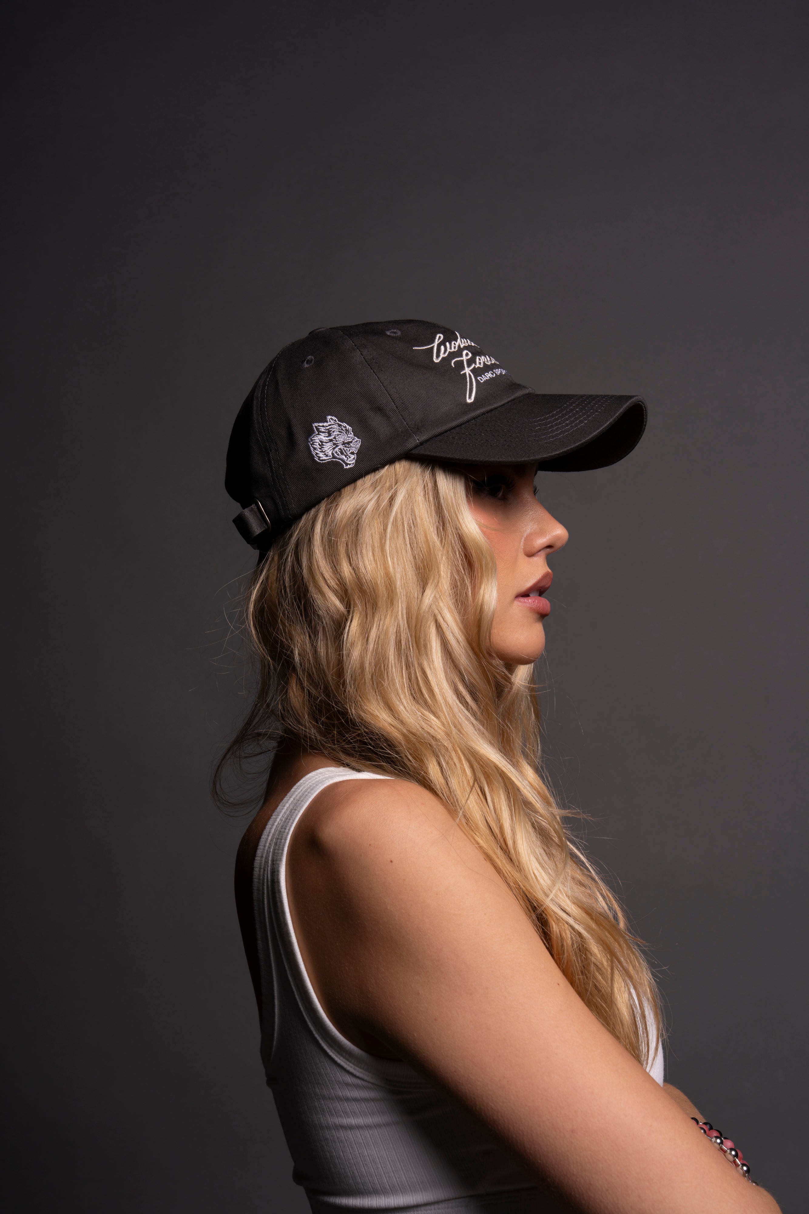 Search Within Dad Hat V2 in Wolf Gray — imagem 6