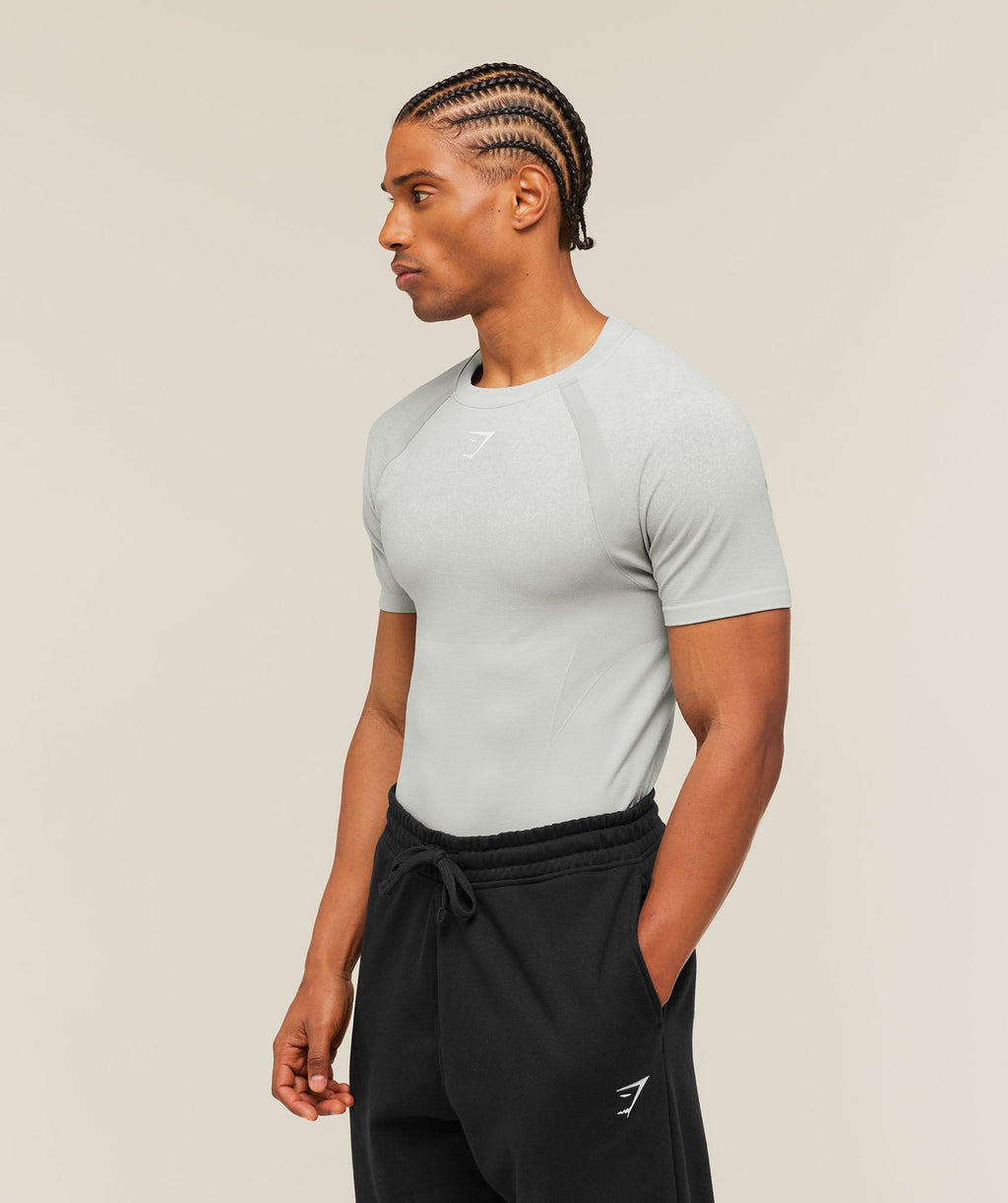 Shadow Seamless T Shirt - Light Grey — imagem 3