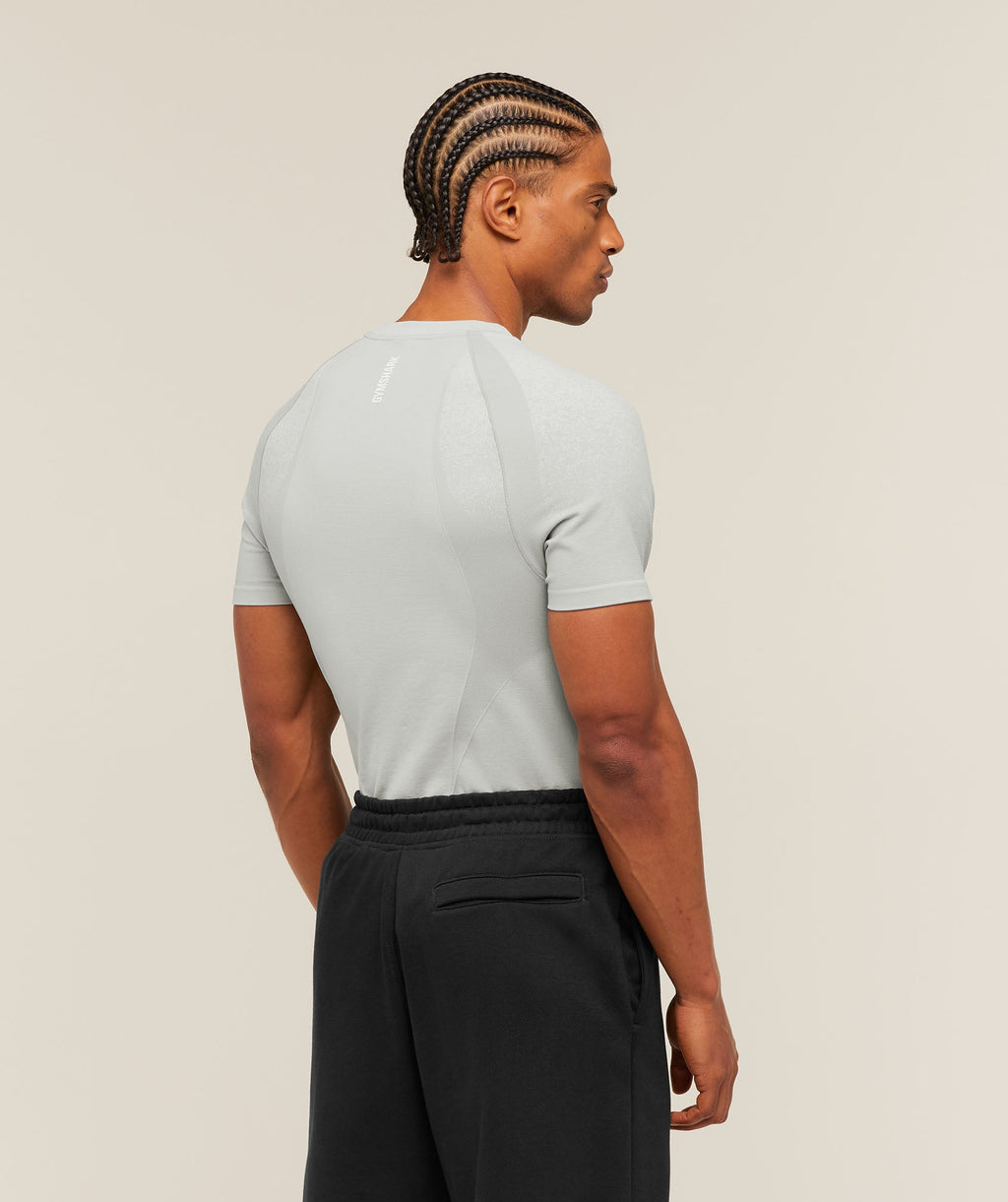 Shadow Seamless T Shirt - Light Grey — imagem 2