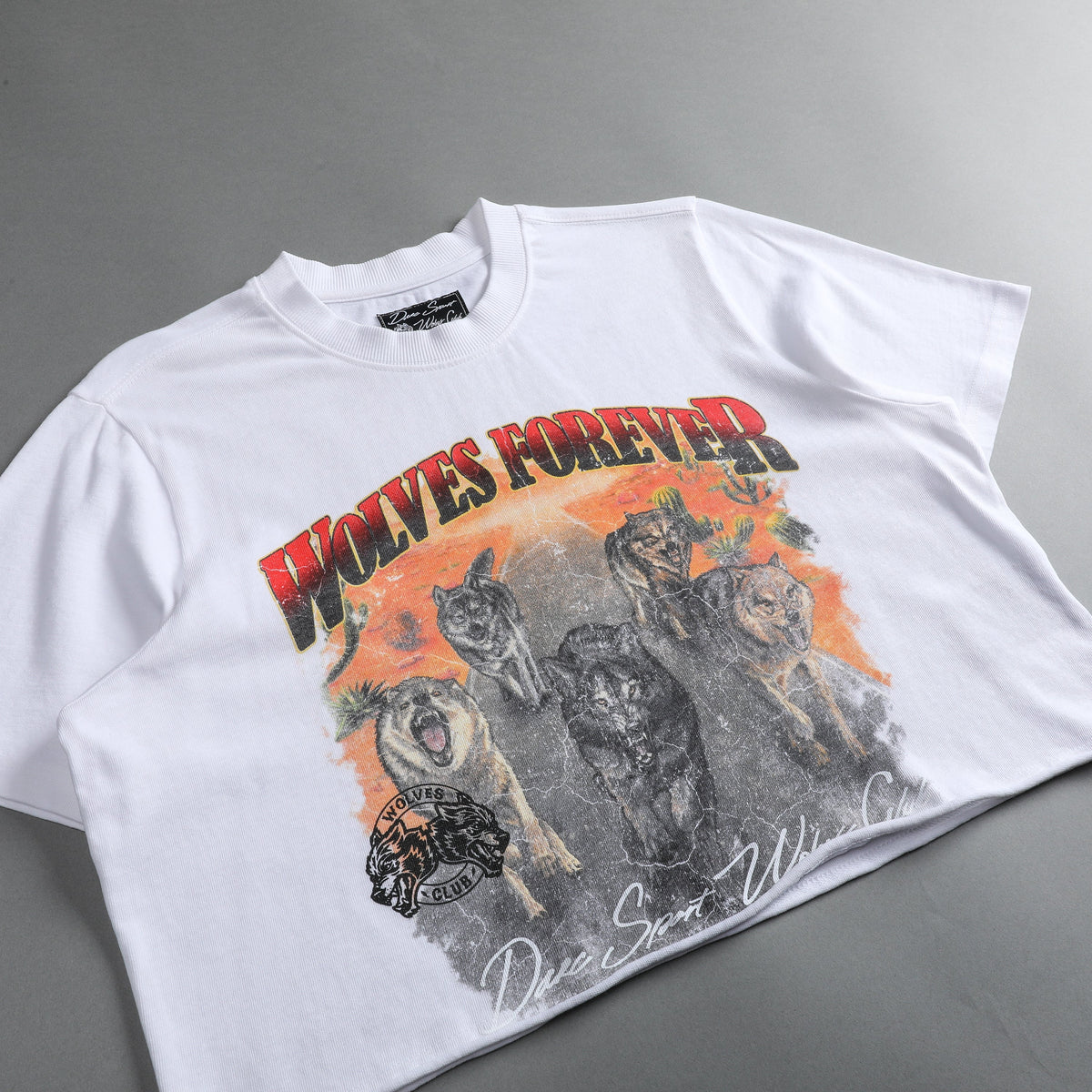 Run Free "Premium Vintage" (Cropped) Tee in Off White - imagem 5