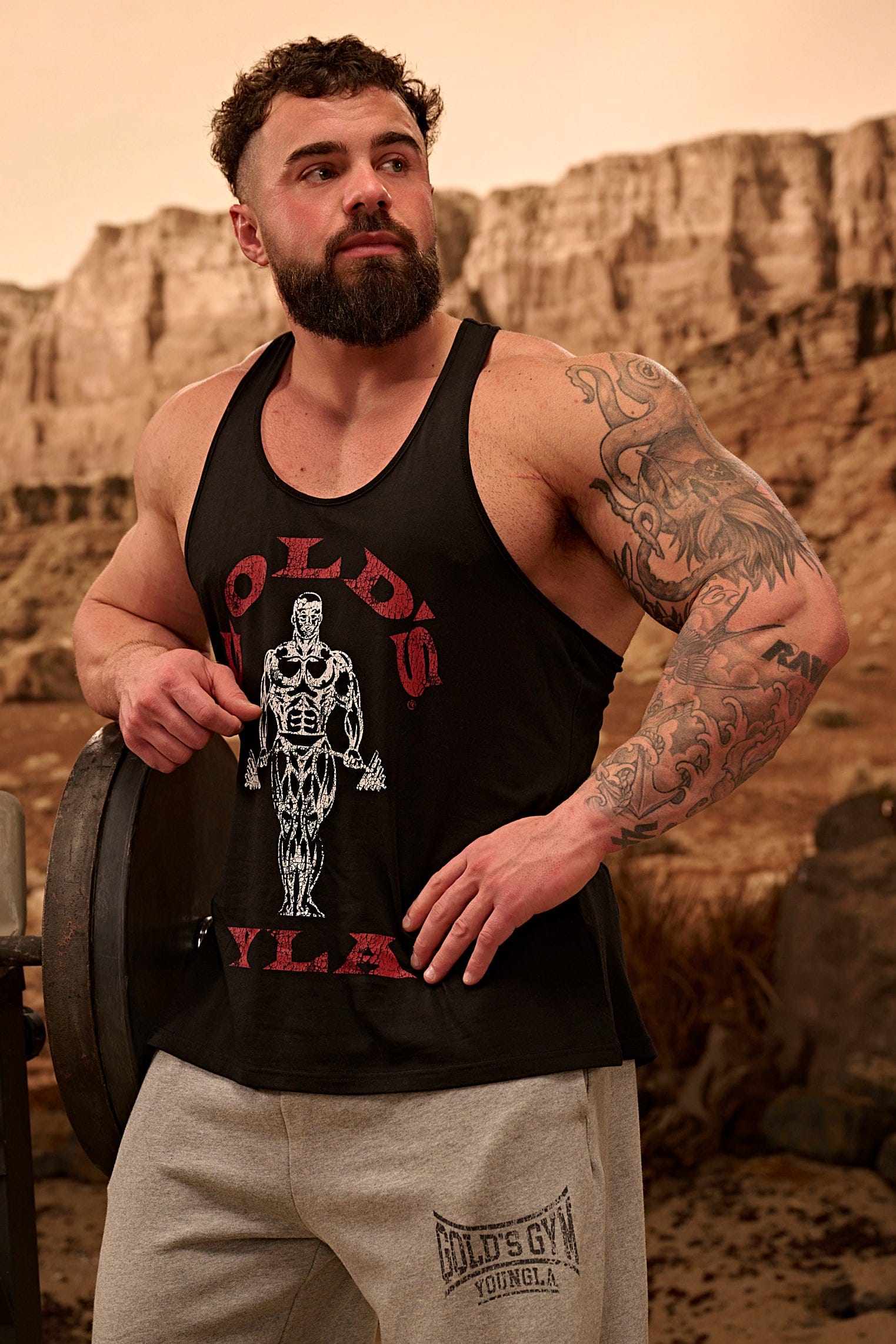 3003 - Gold's Iron Legacy Icon Stringers — imagem 3