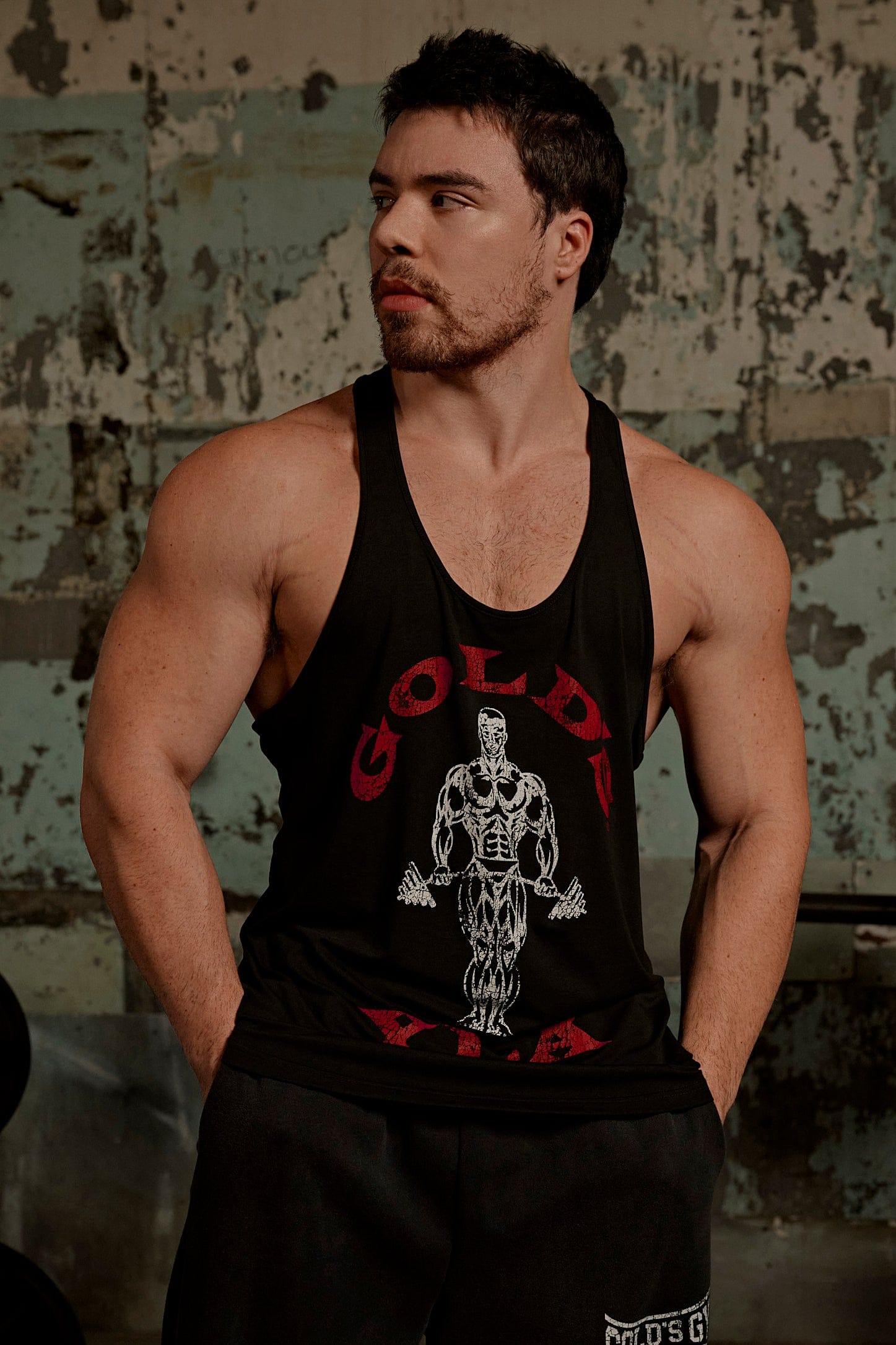 3003 - Gold's Iron Legacy Icon Stringers — imagem 2