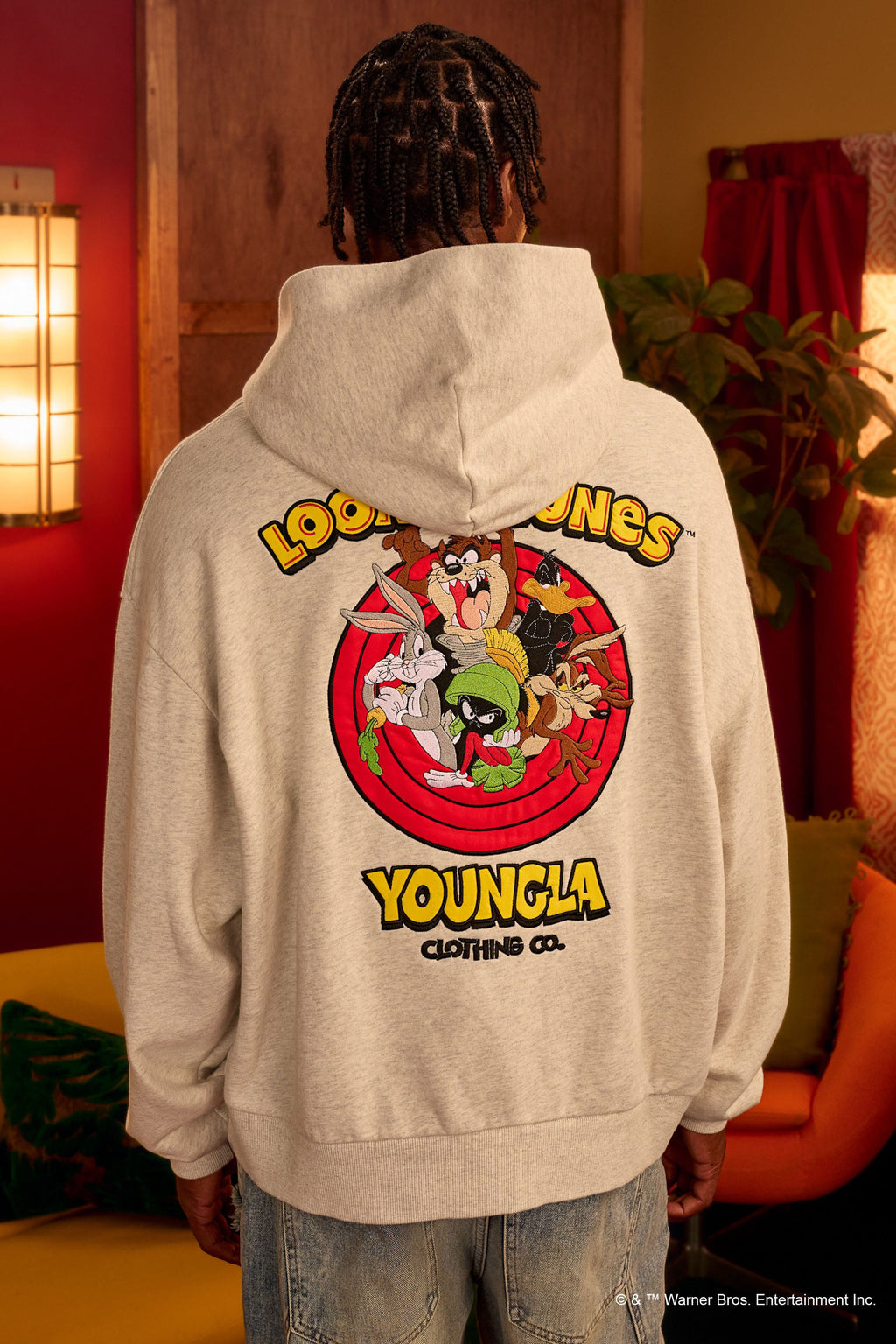 5114 - Looney Tunes Embroidered Hoodies — imagem 4