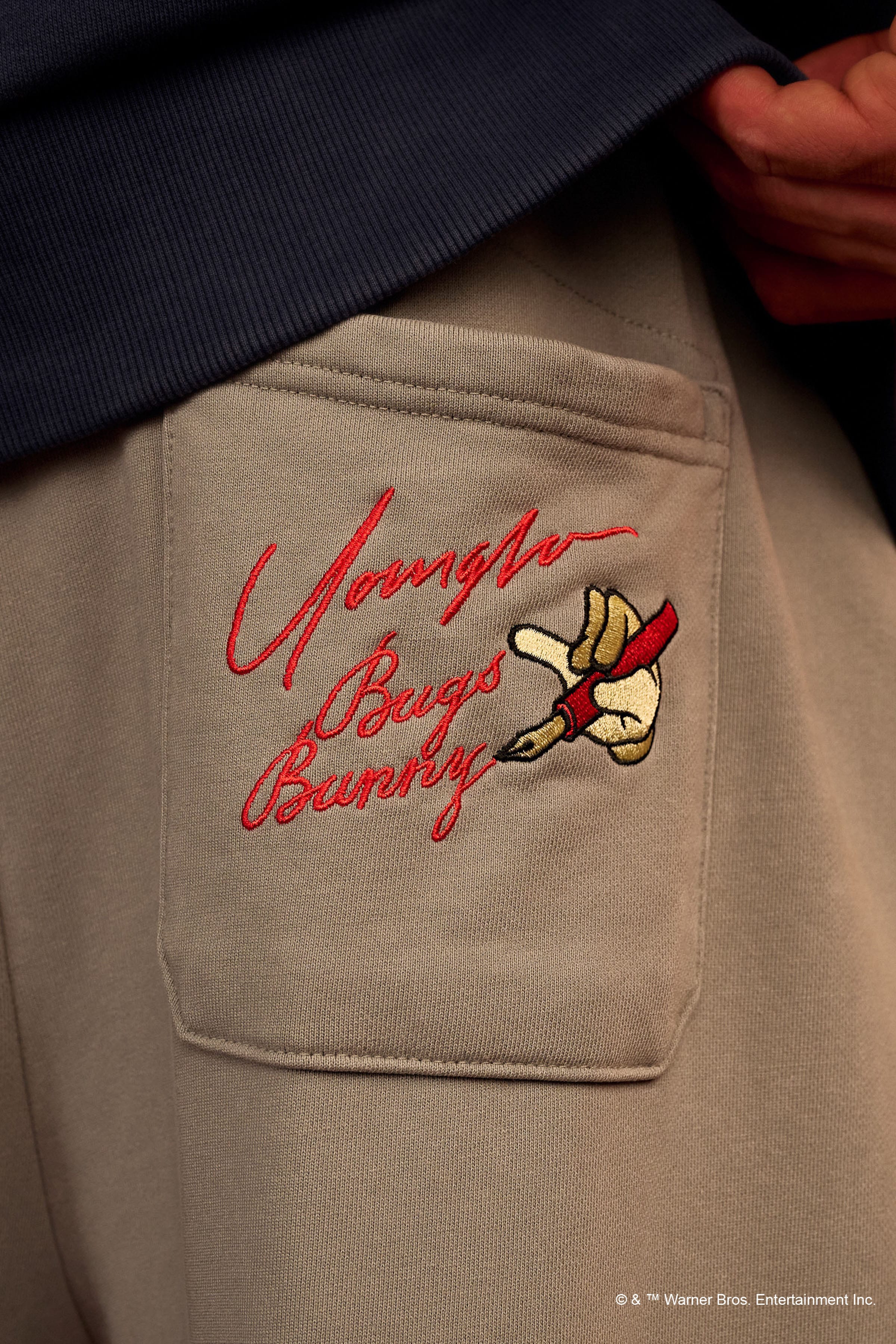 2169 - Looney Tunes Character Sweats — imagem 7