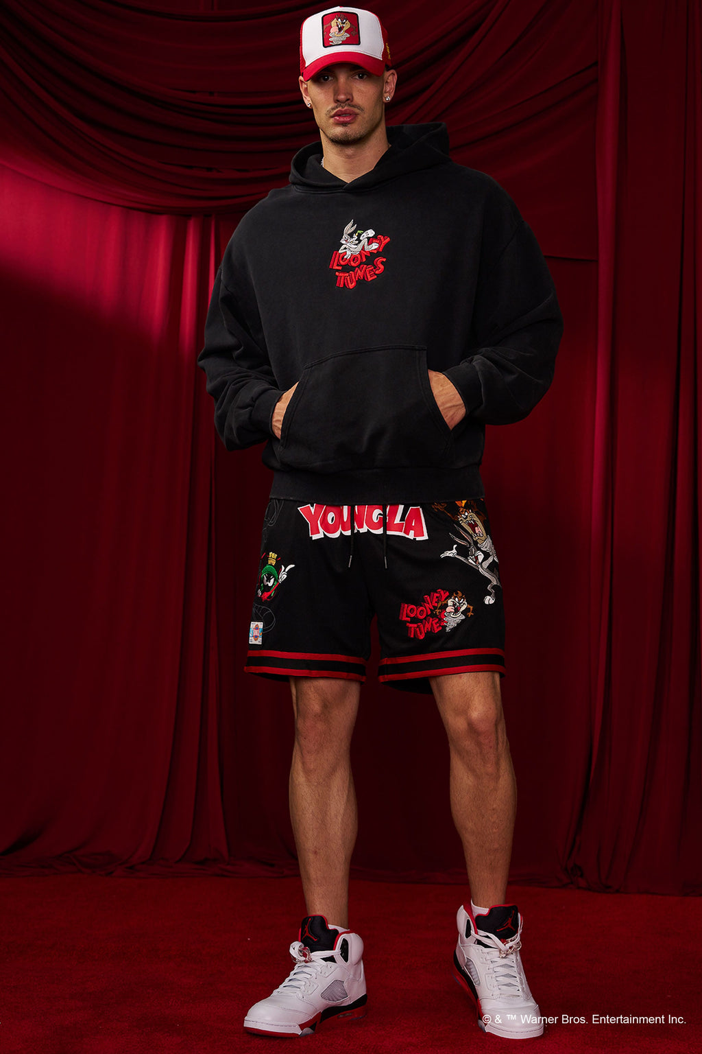 5114 - Looney Tunes Embroidered Hoodies — imagem 6