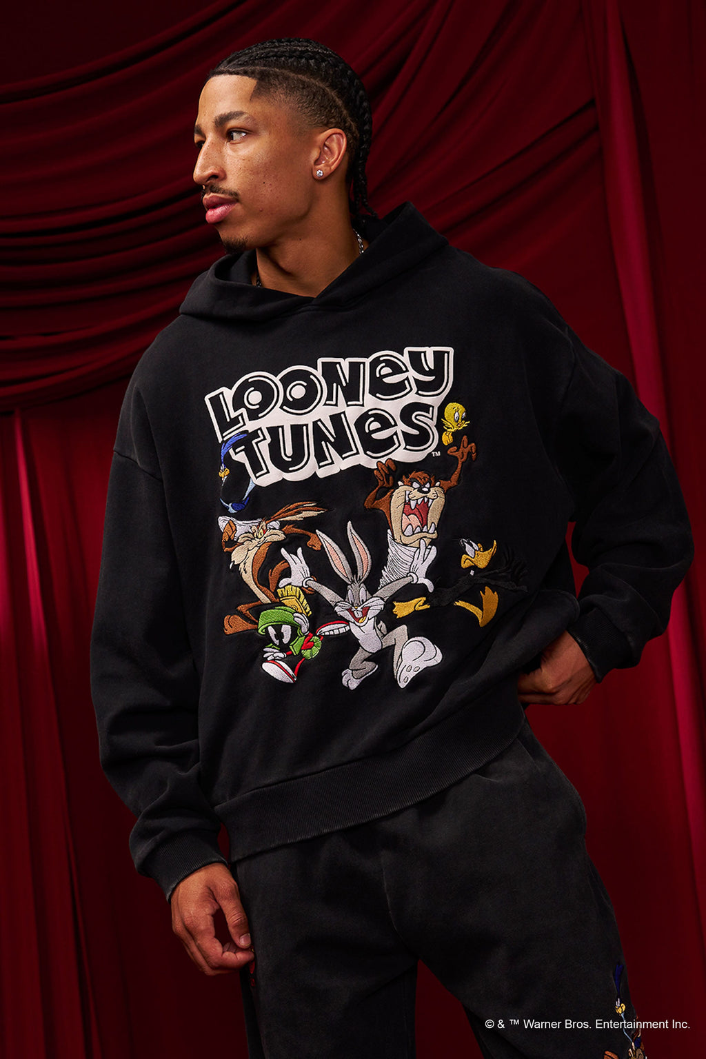 5114 - Looney Tunes Embroidered Hoodies — imagem 2