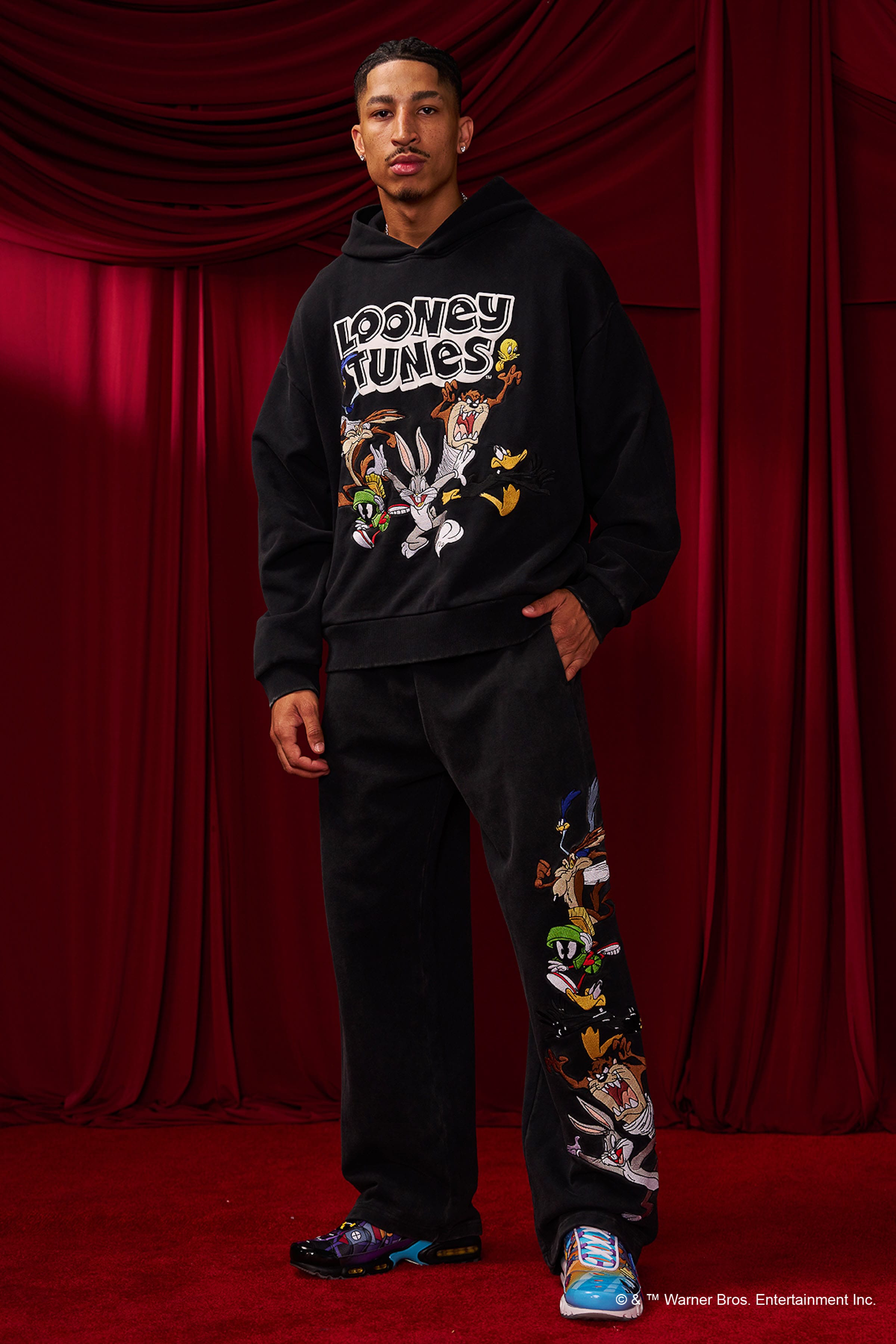 5114 - Looney Tunes Embroidered Hoodies — imagem 8