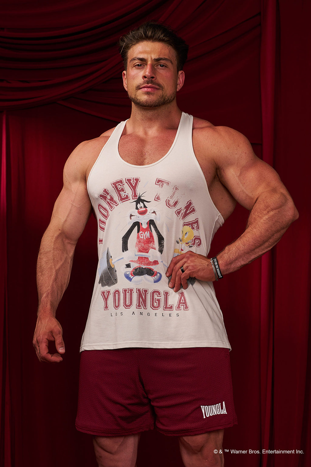 3078 - Looney Tunes Stringers — imagem 4
