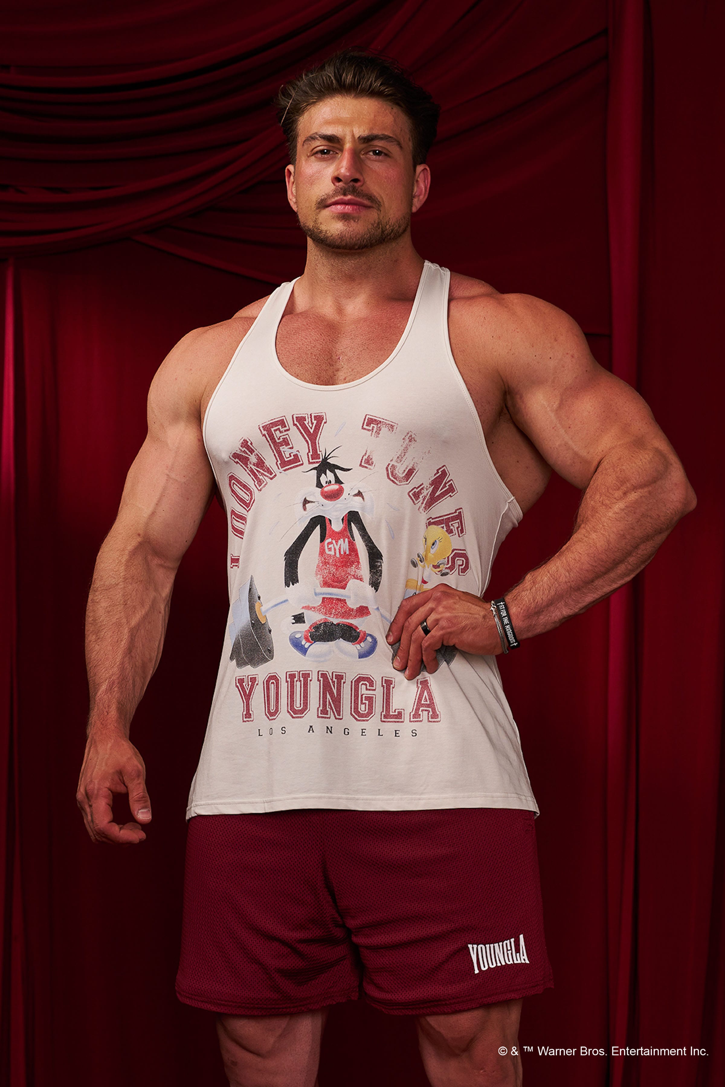 3078 - Looney Tunes Stringers — imagem 4