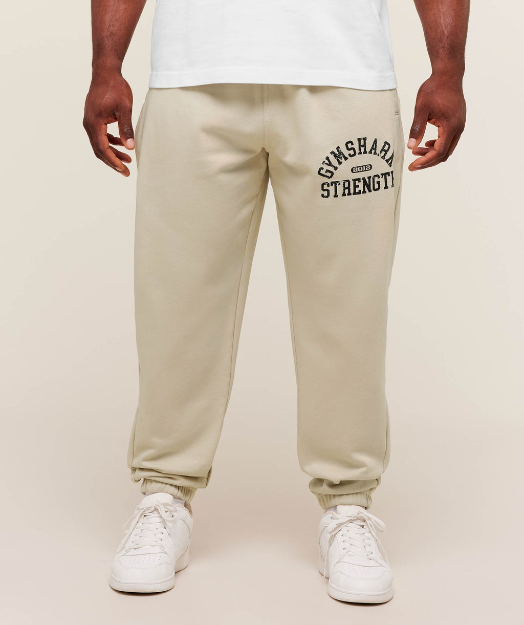 2012 Strength Joggers - Pebble Grey — imagem 1