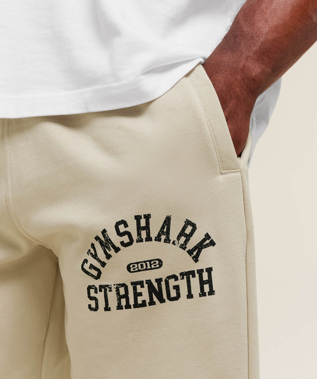 2012 Strength Joggers - Pebble Grey — imagem 4