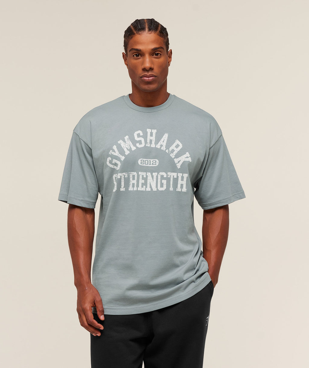 2012 Strength T-Shirt - Denim Grey — imagem 6
