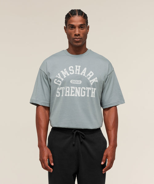 2012 Strength T-Shirt - Denim Grey — imagem 1