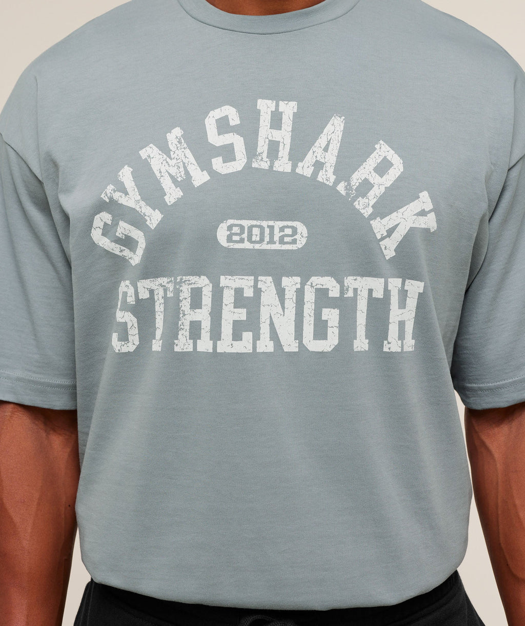 2012 Strength T-Shirt - Denim Grey — imagem 4
