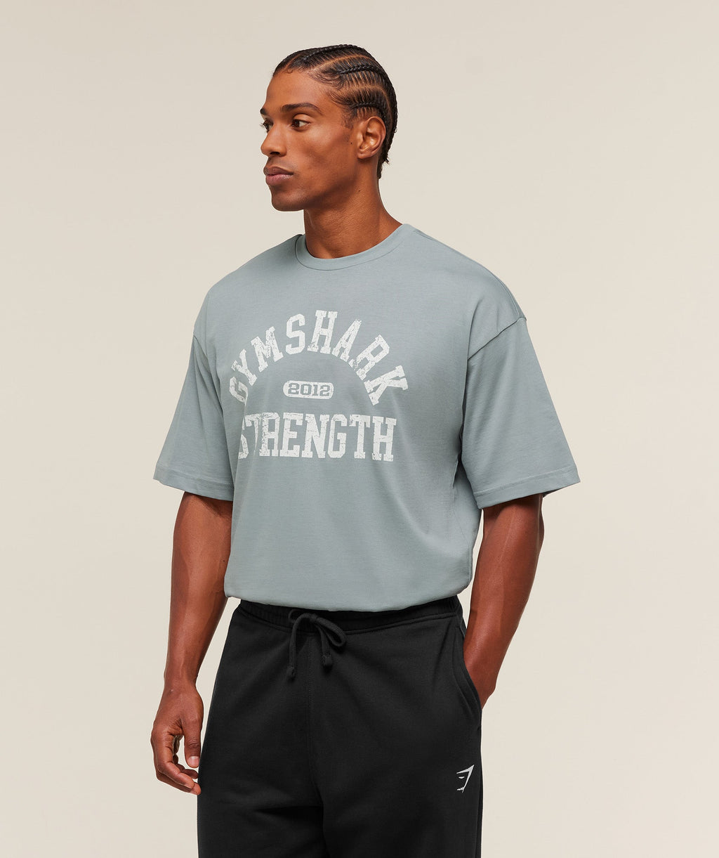 2012 Strength T-Shirt - Denim Grey — imagem 3