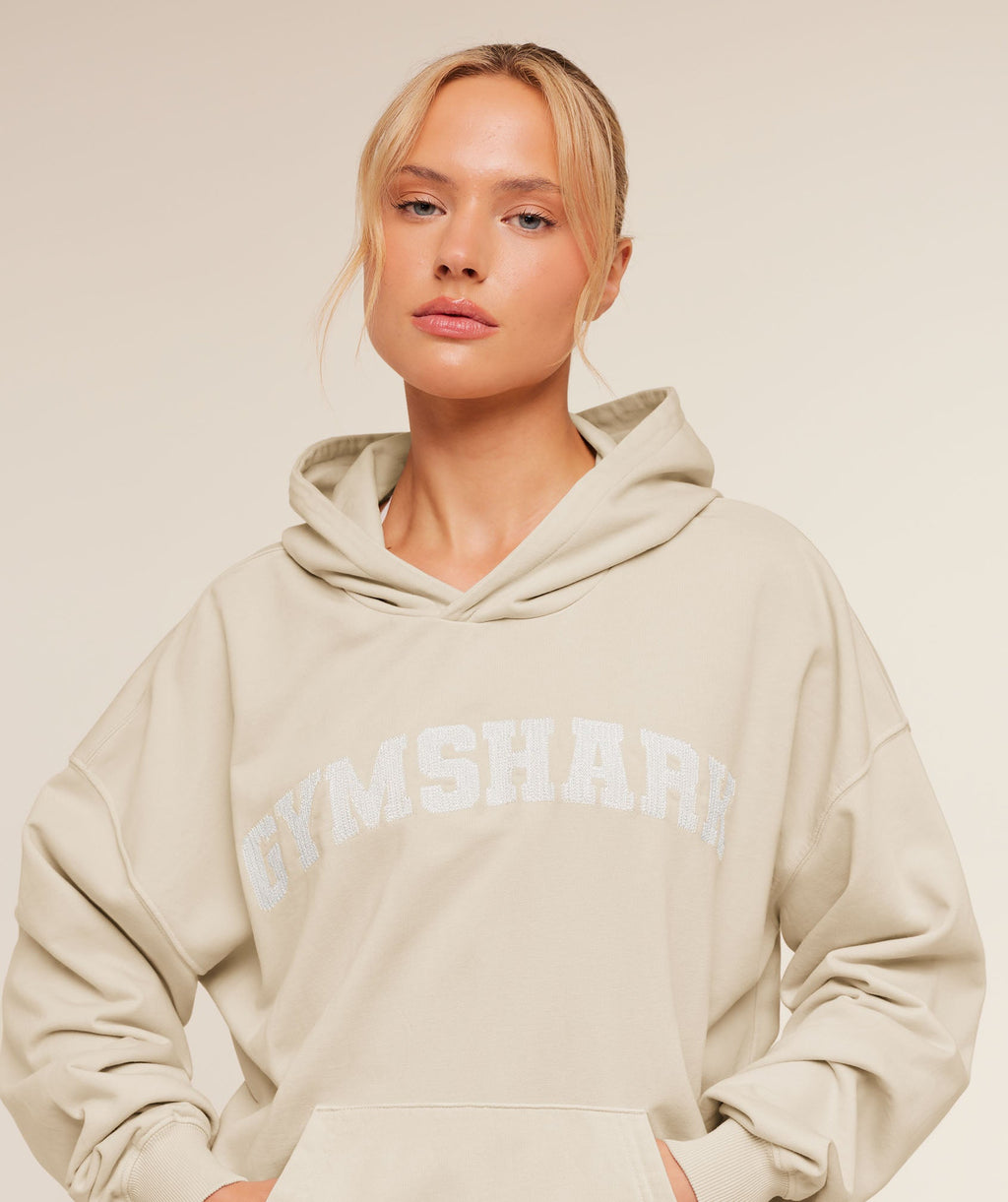 Chainstitch Graphic Hoodie - Pebble Grey/Wash — imagem 5