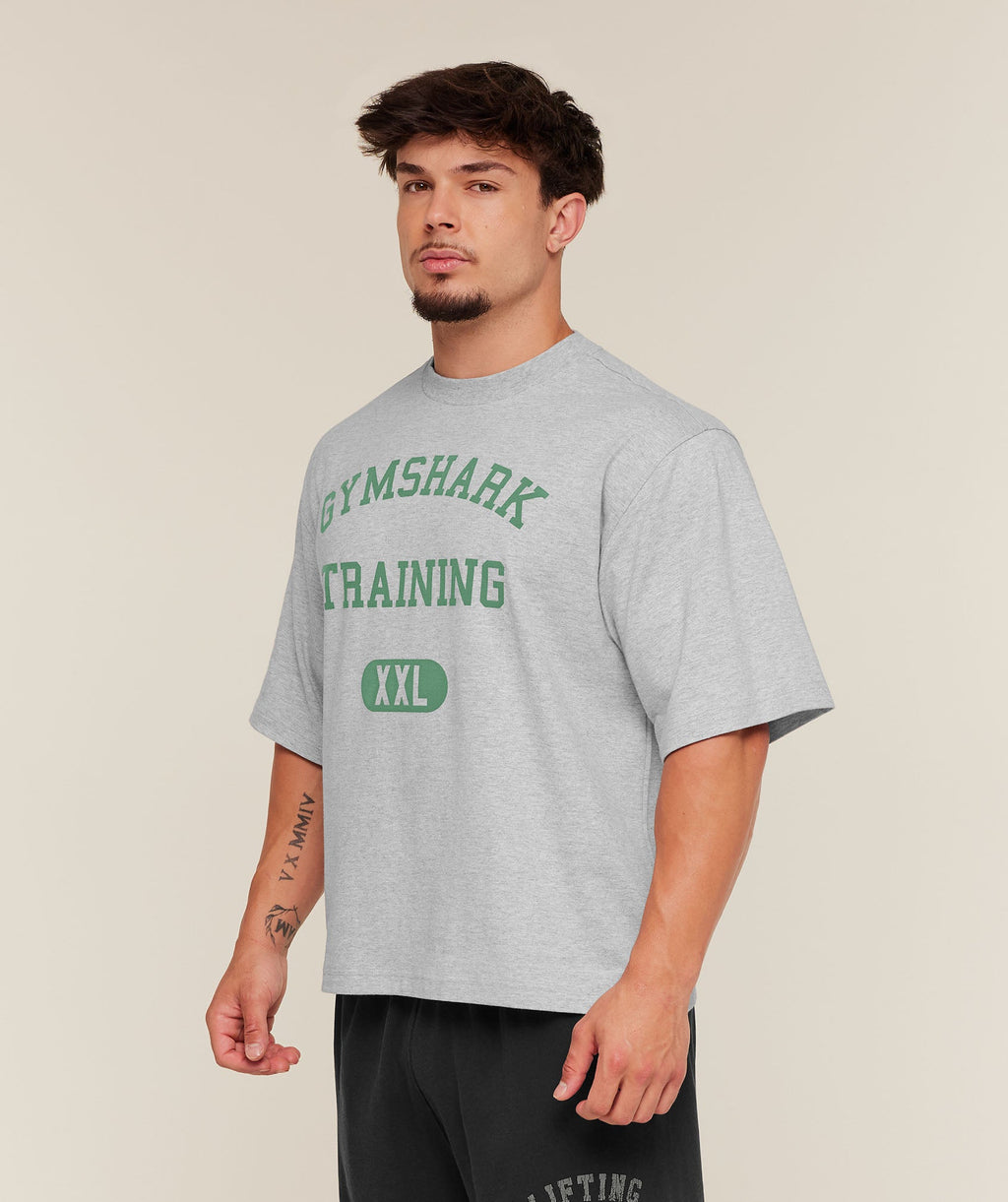 Gymshark Training Graphic T-Shirt - Light Grey Core Marl — imagem 3