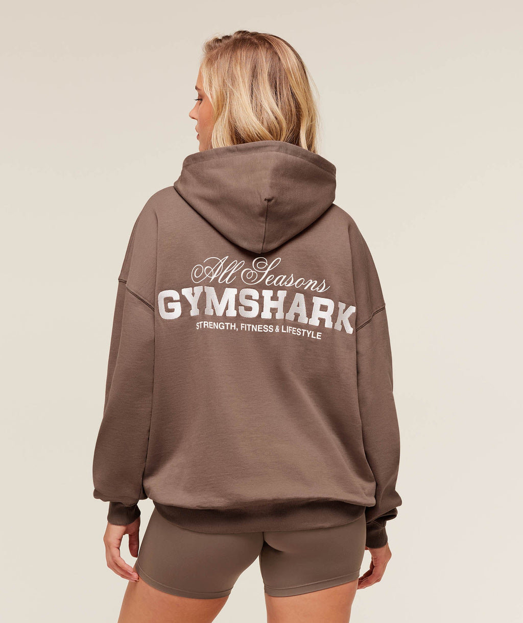 All Seasons Graphic Hoodie - Soft Brown — imagem 1