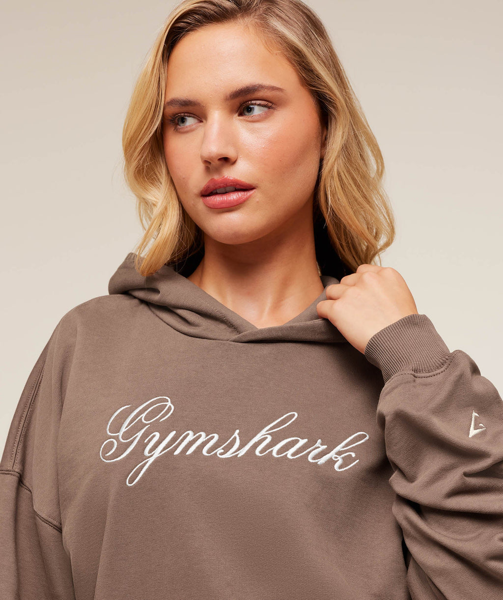 All Seasons Graphic Hoodie - Soft Brown — imagem 6