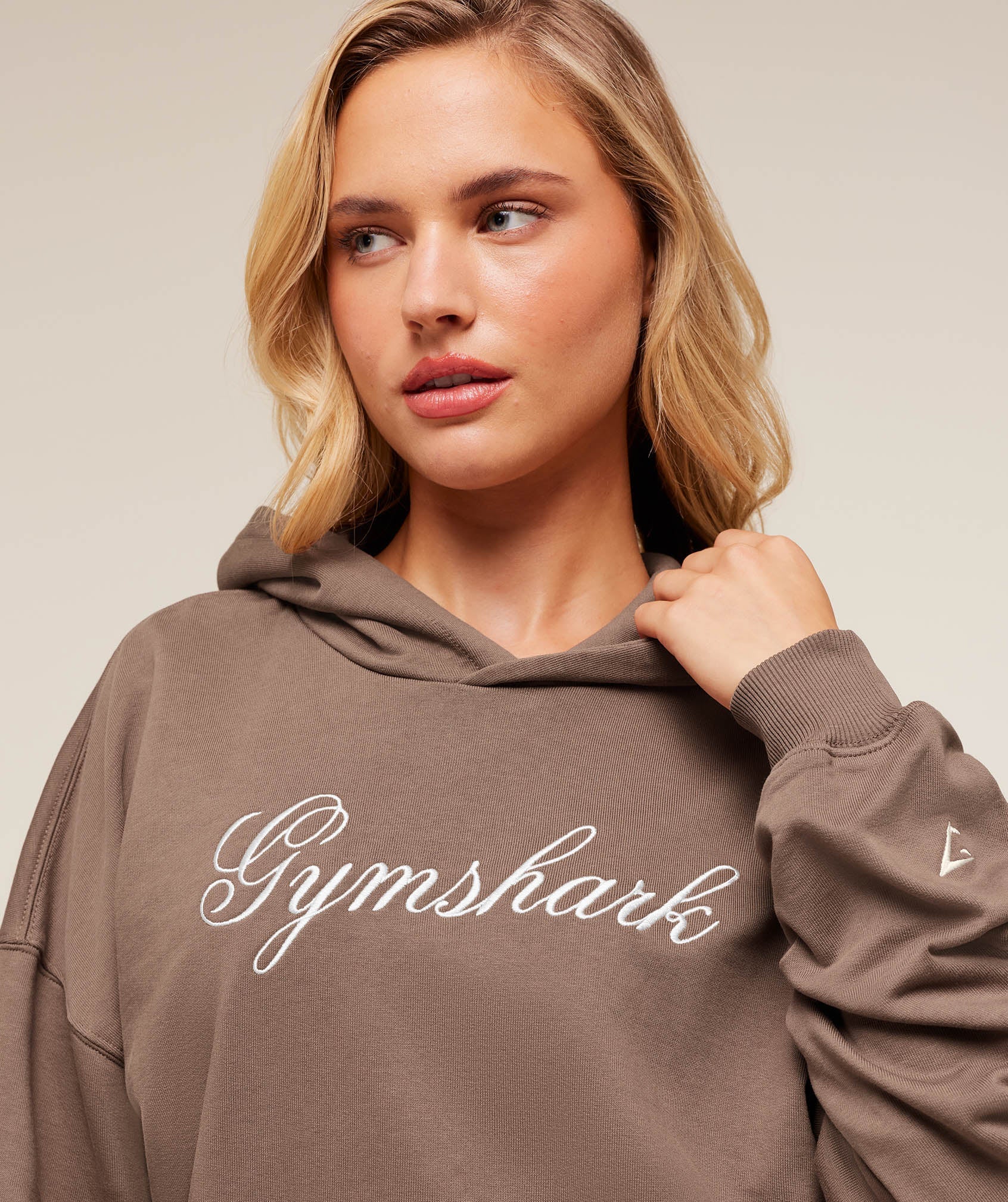 All Seasons Graphic Hoodie - Soft Brown — imagem 6