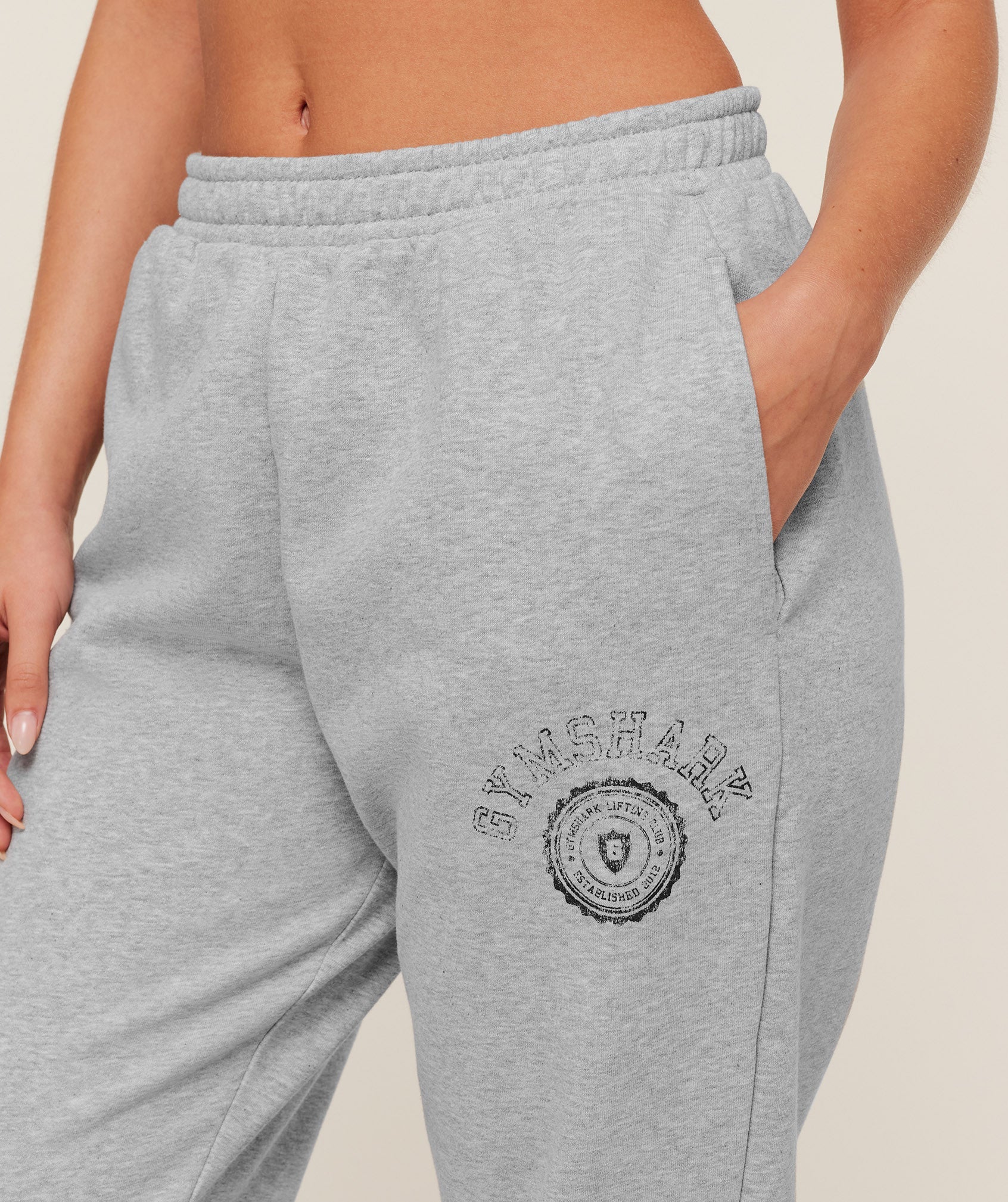 Worn Crest Graphic Joggers - Light Grey Core Marl — imagem 5